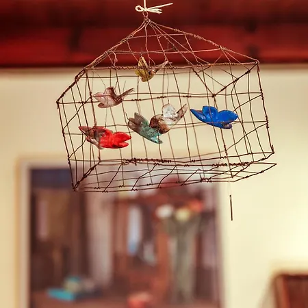 Veneto Boutique Apartahotel